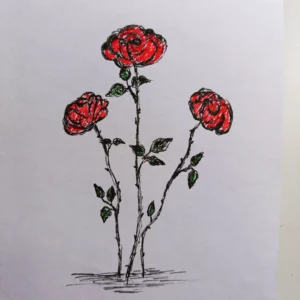 Roser (6 januar 2023)